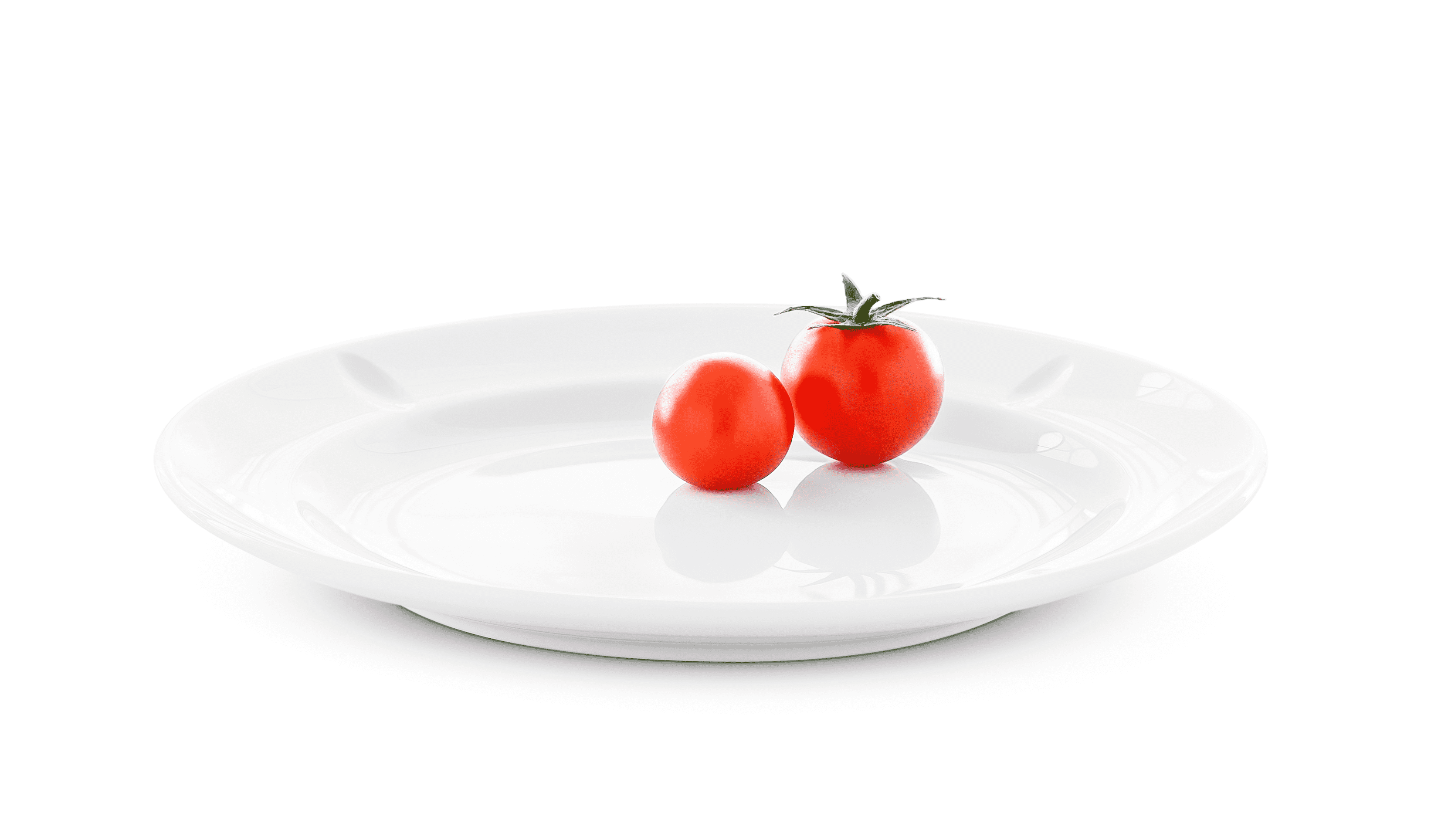 Plate Ø19.5 cm 4 pcs.