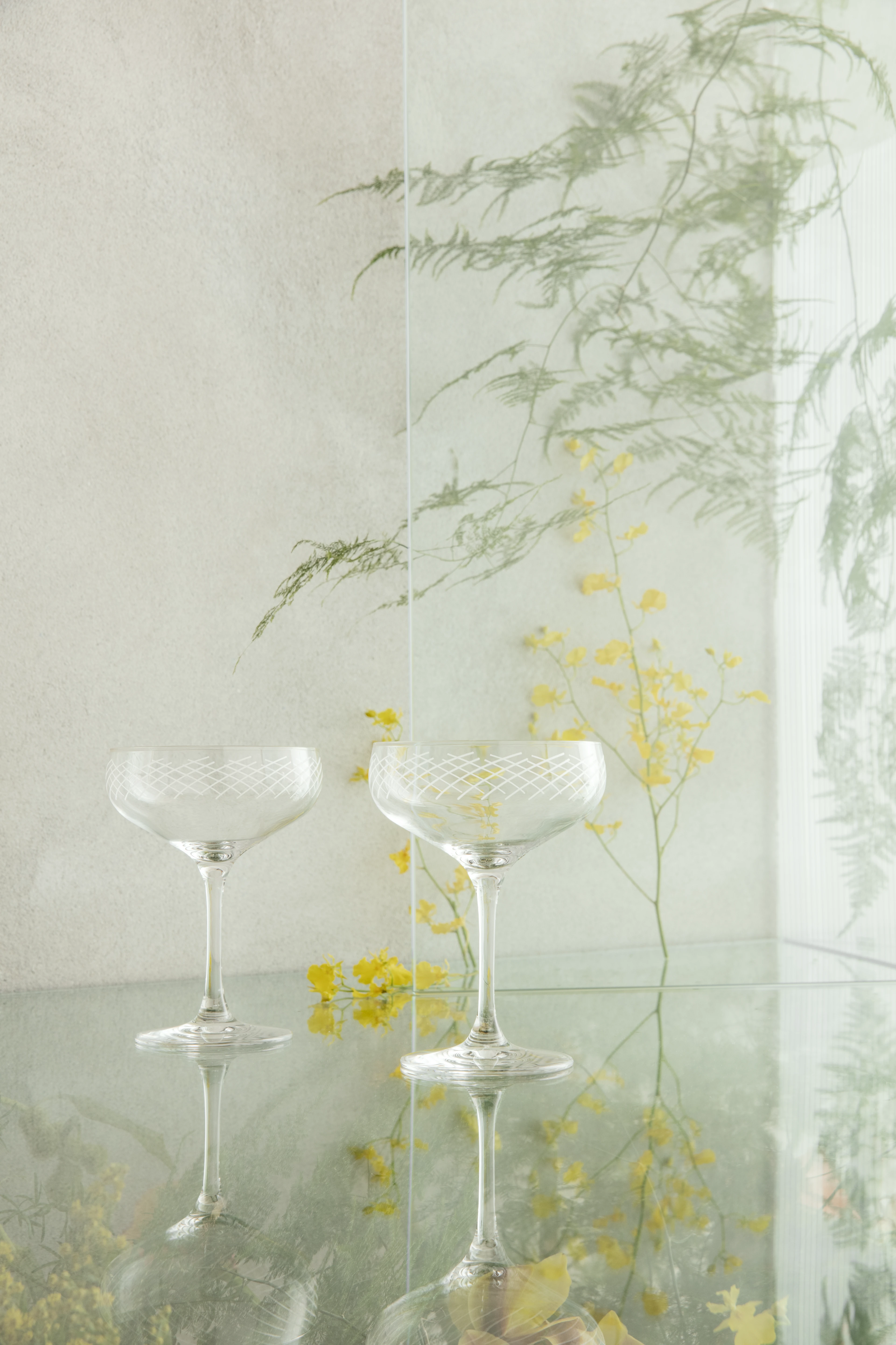 Cocktail Glass 29 cl 2 pcs. from Holmegaard in Clear color, made of Glass