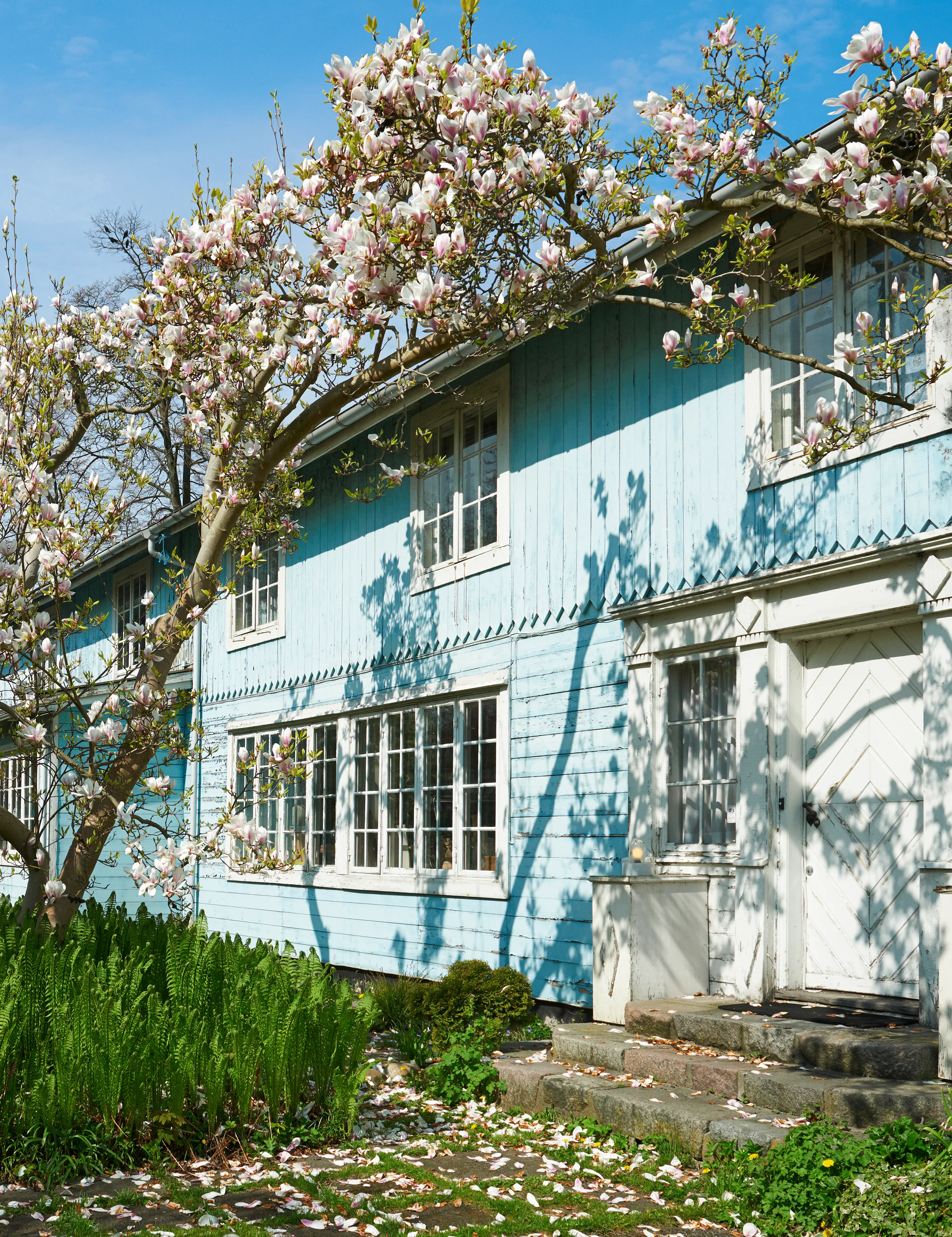The Blue House, Bjørn Wiinblad