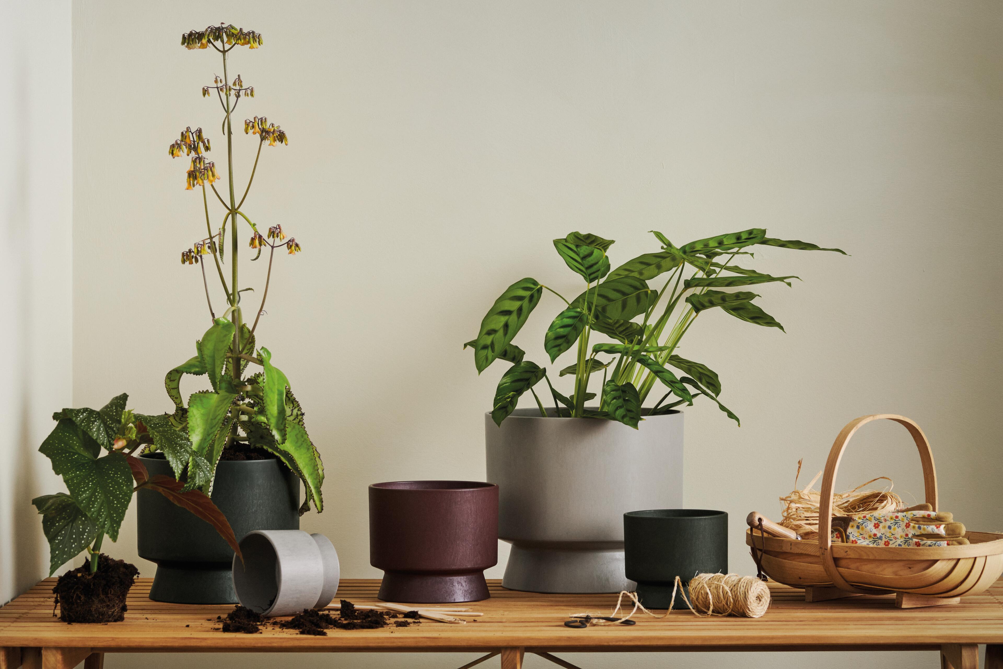 Rosendahl plant pots