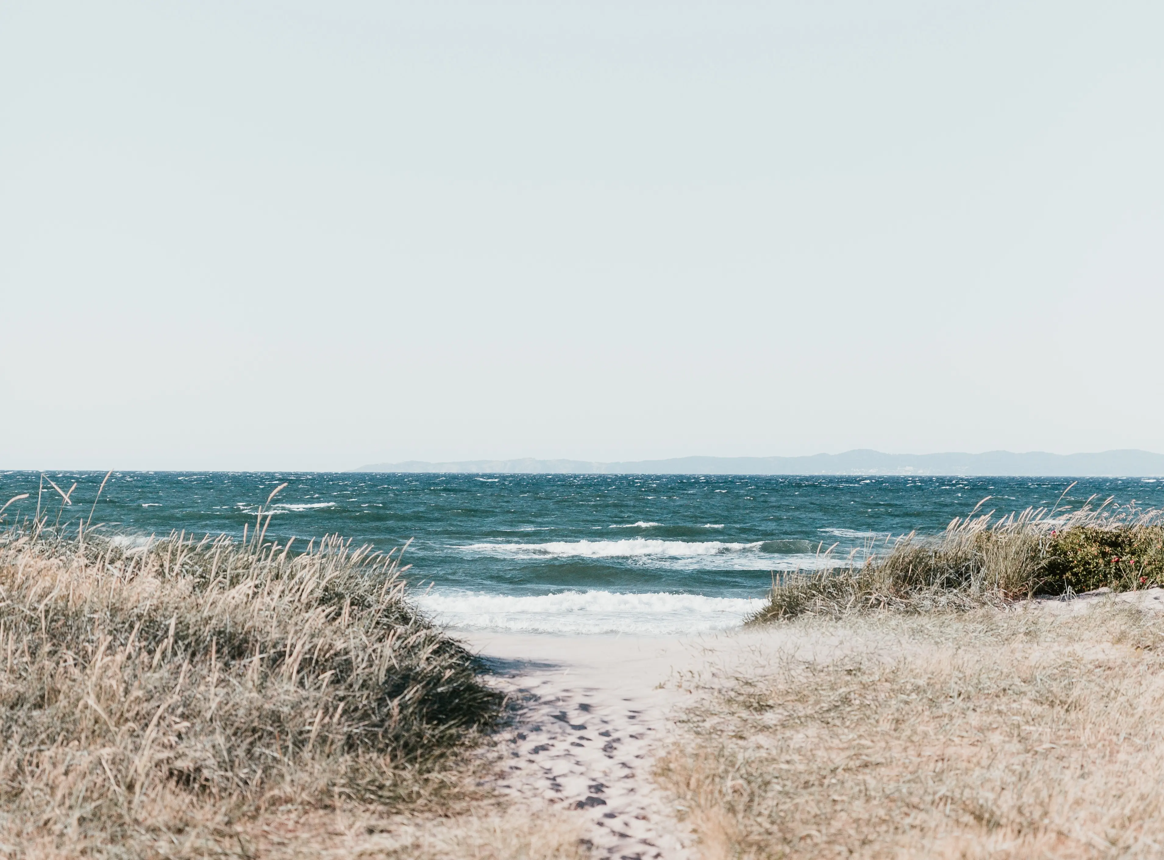 Waves roll onto the shore under a soft breeze, with sand dunes and beach grass in the foreground