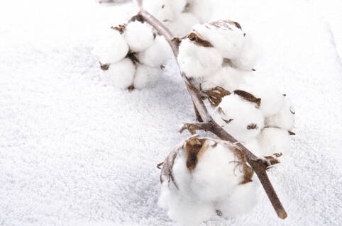 Organic cotton from Rosendahl products and series