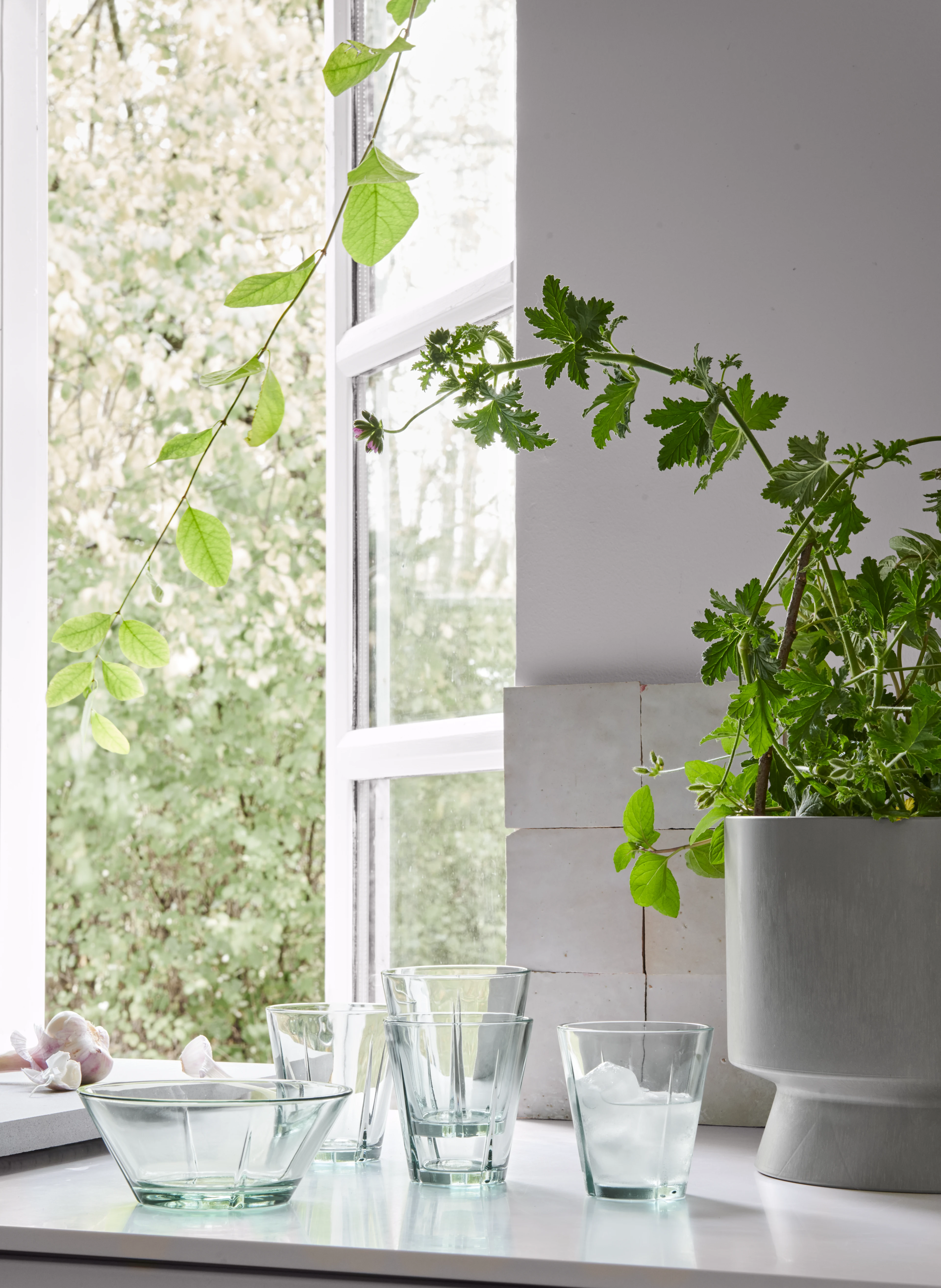 Vattenglas 26 cl 4 st. från Rosendahl i färgen Klart grönt, tillverkad av Glas