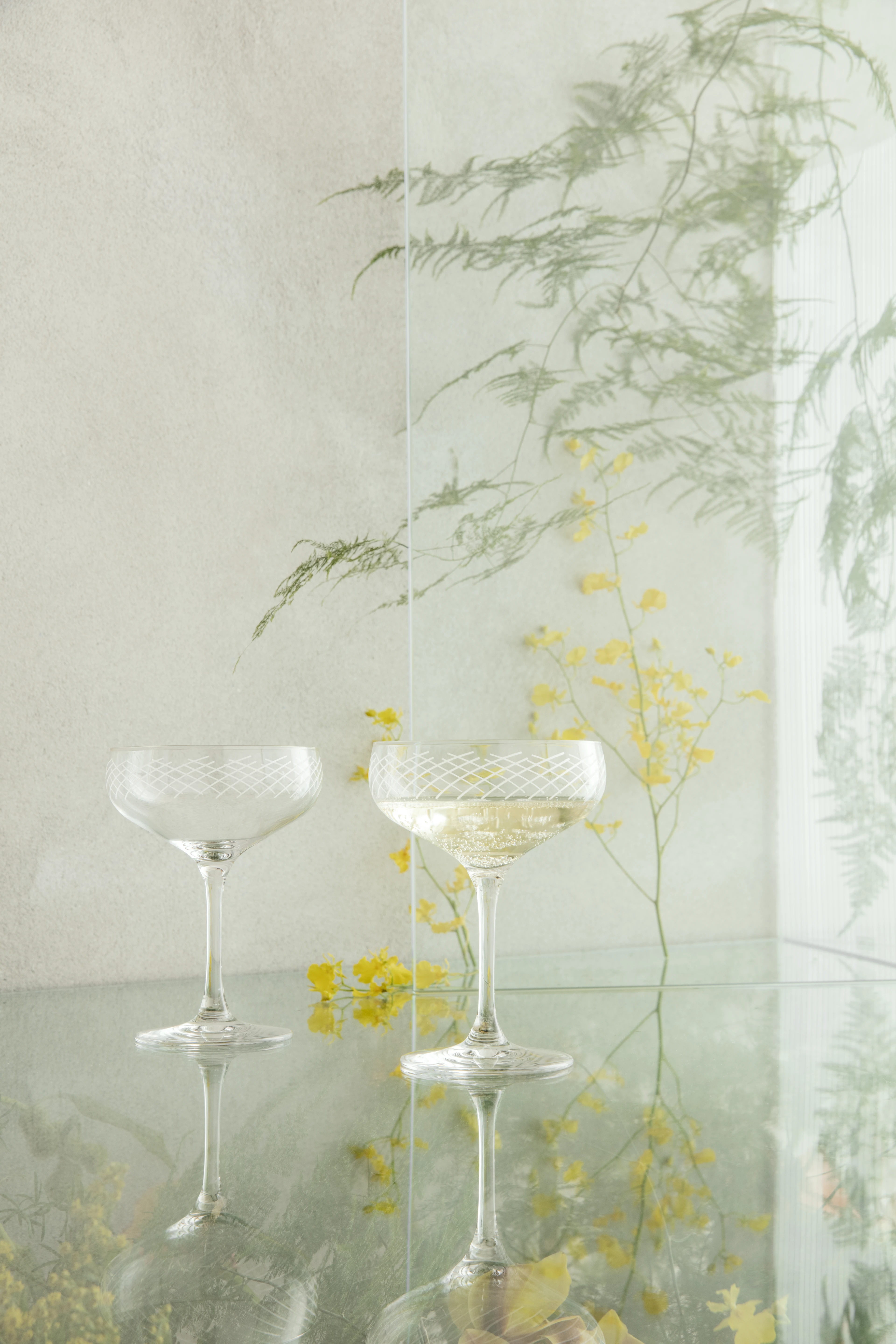 Cocktail Glass 29 cl 2 pcs. from Holmegaard in Clear color, made of Glass