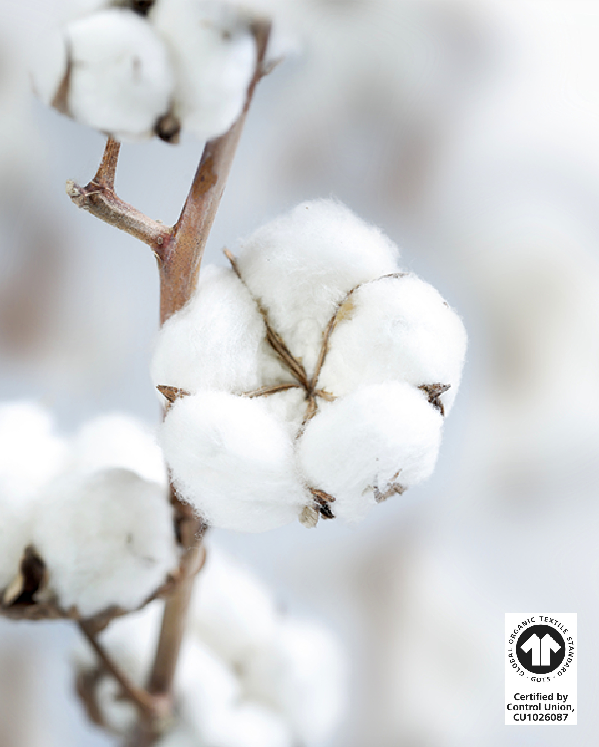 Organic cotton from Rosendahl products and series