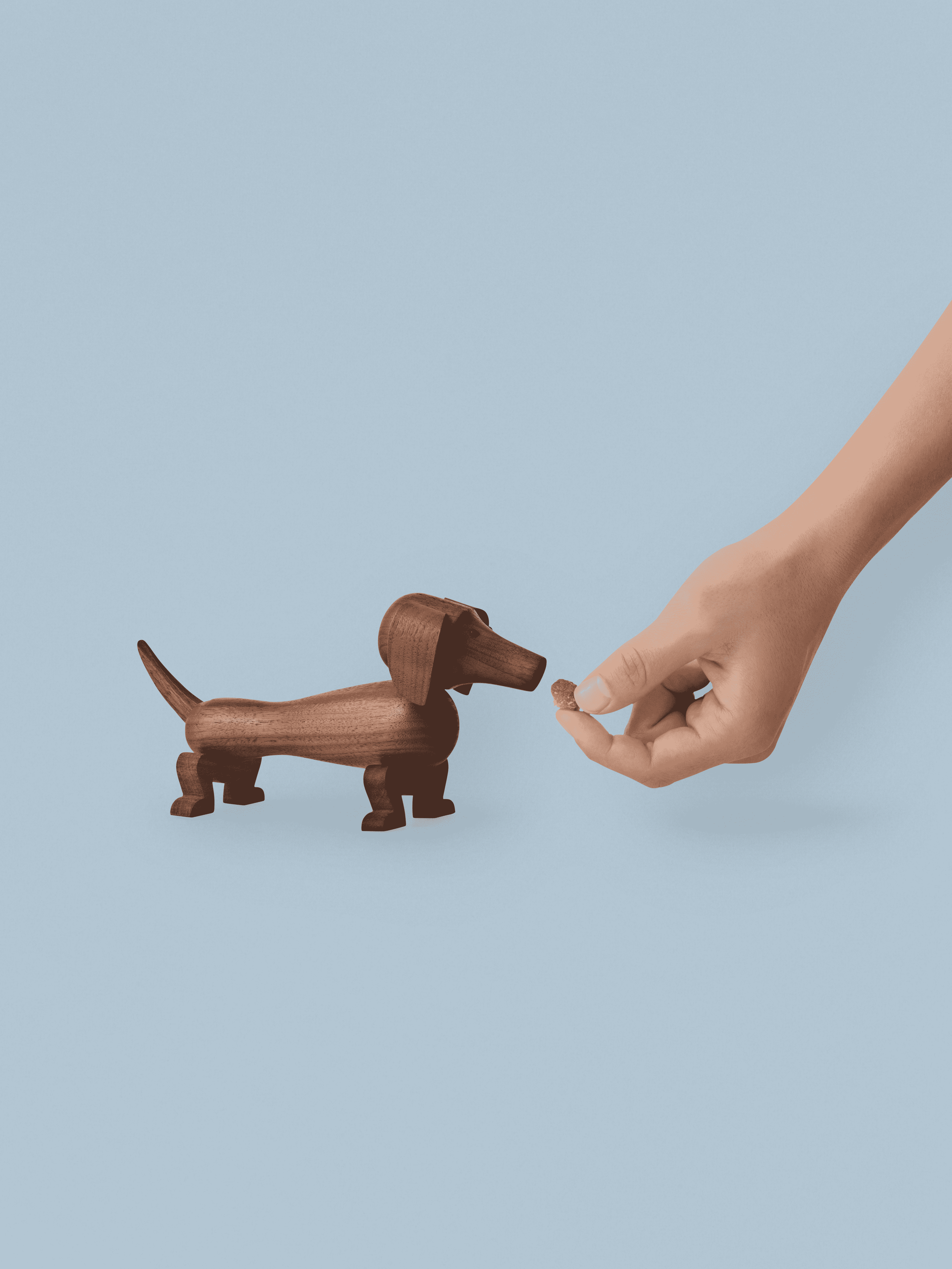 Hund klein