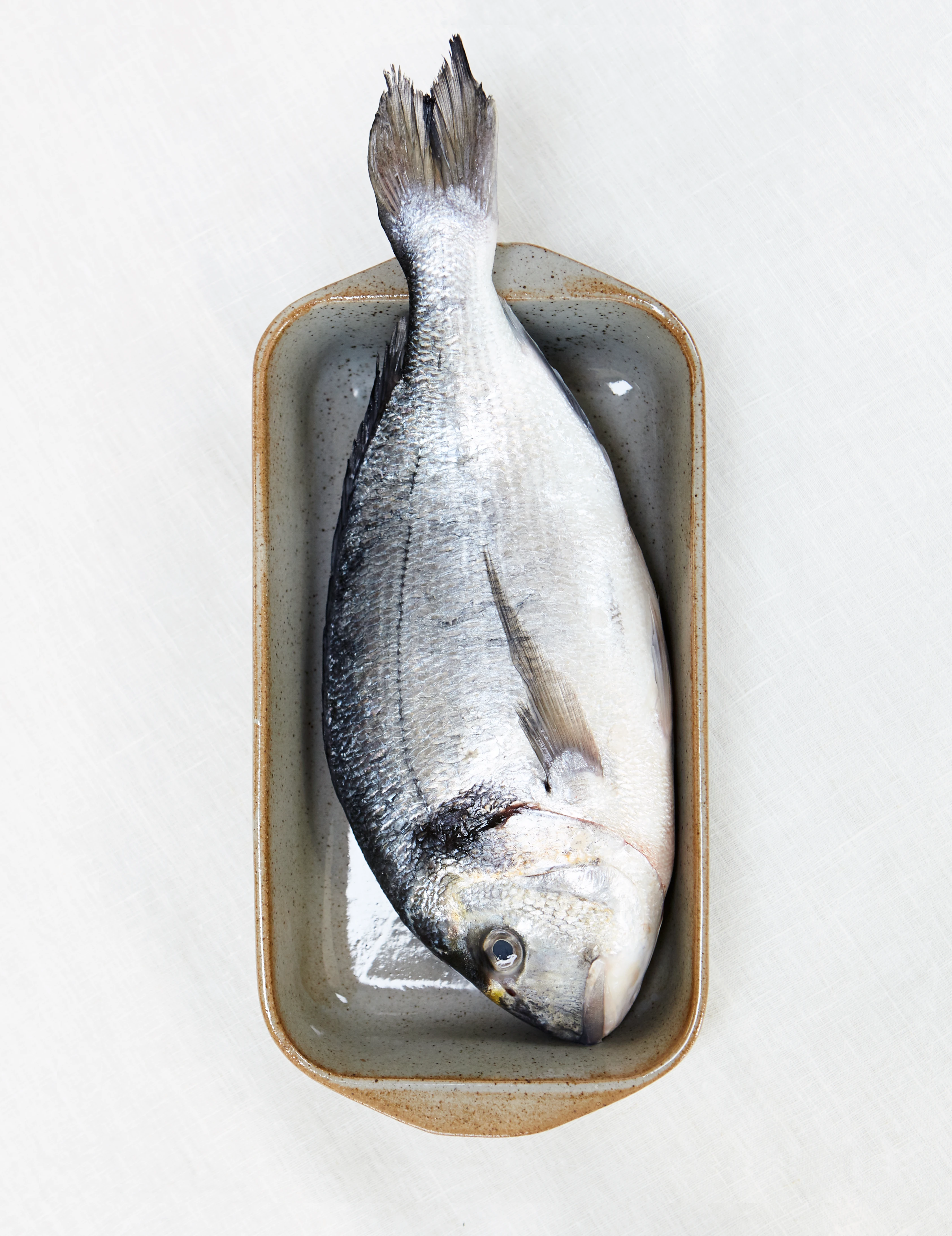 Ovenproof dish 36x21 cm from Lyngby Porcelæn in Sand color, made of Ceramics