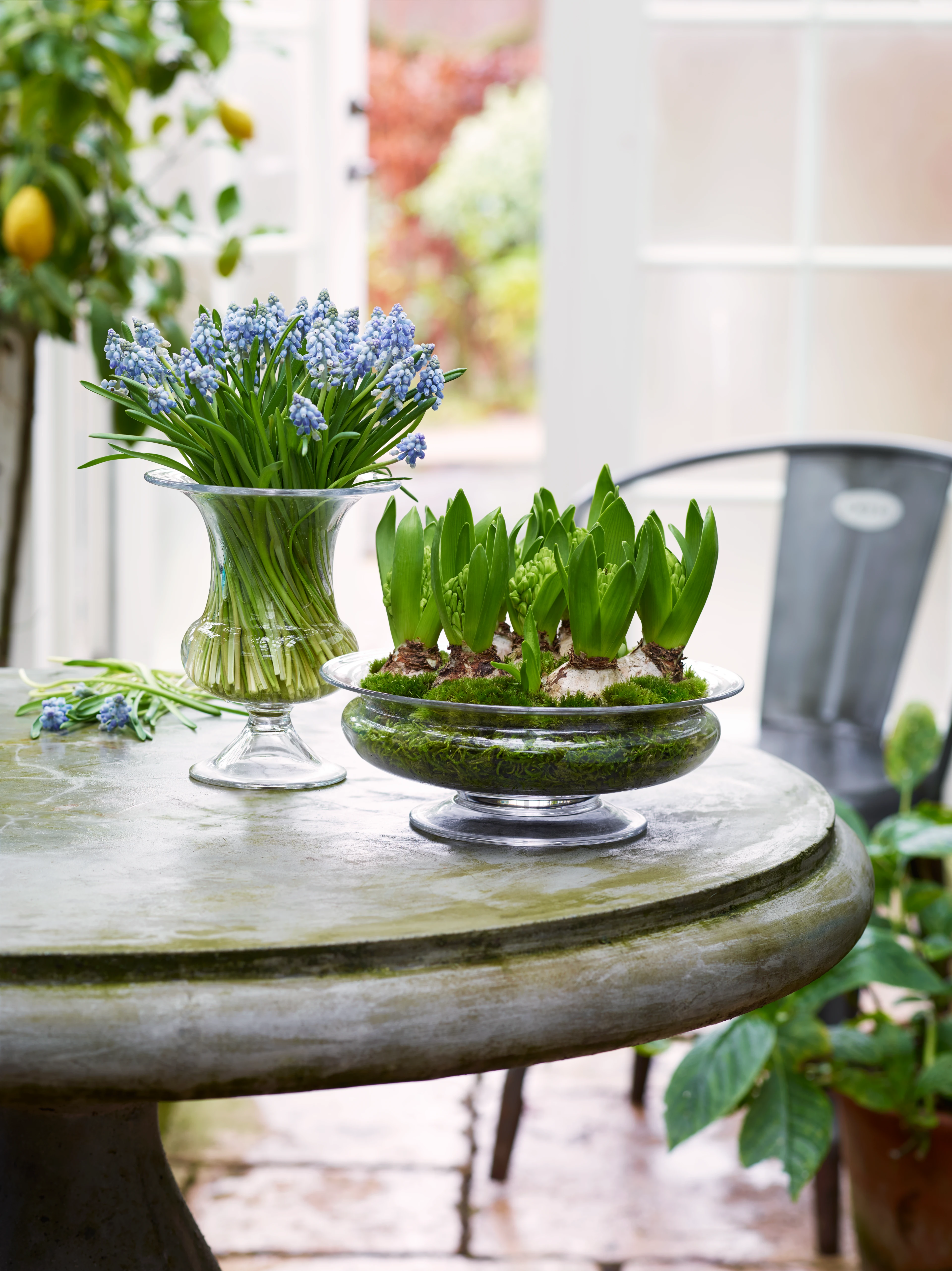 Flower bowl Ø25 cm from Holmegaard in Clear color, made of Glass