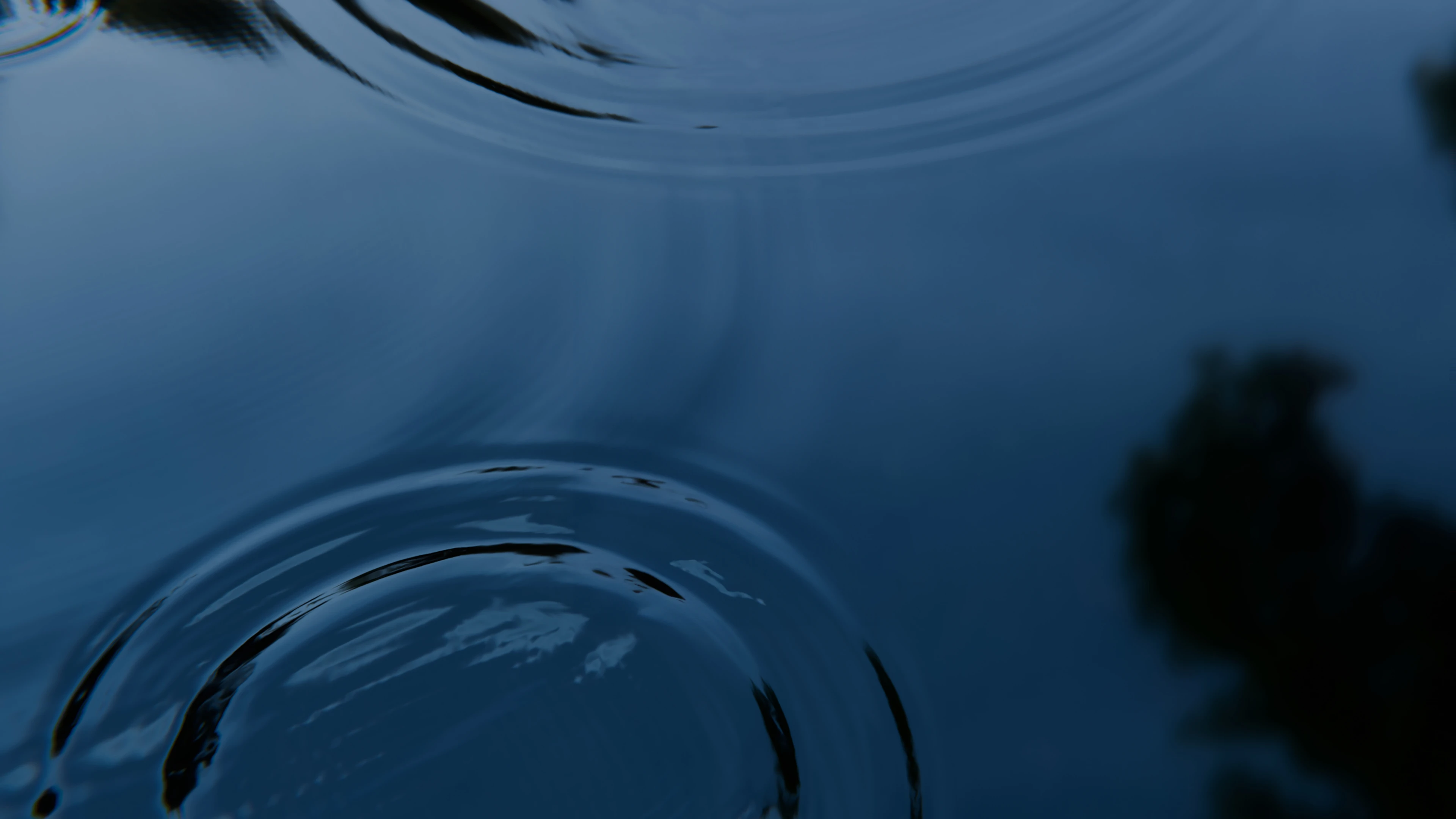 Rosendahl Design Group is B Corp certified 