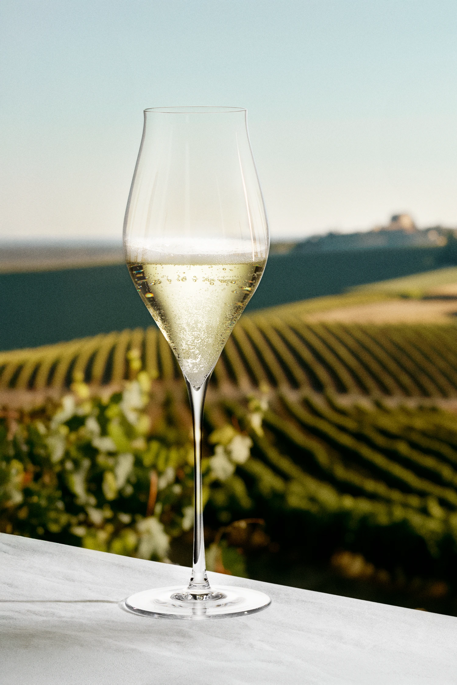 Champagneglas 38 cl 2 stk. fra Holmegaard i farven Klar, lavet af Glas