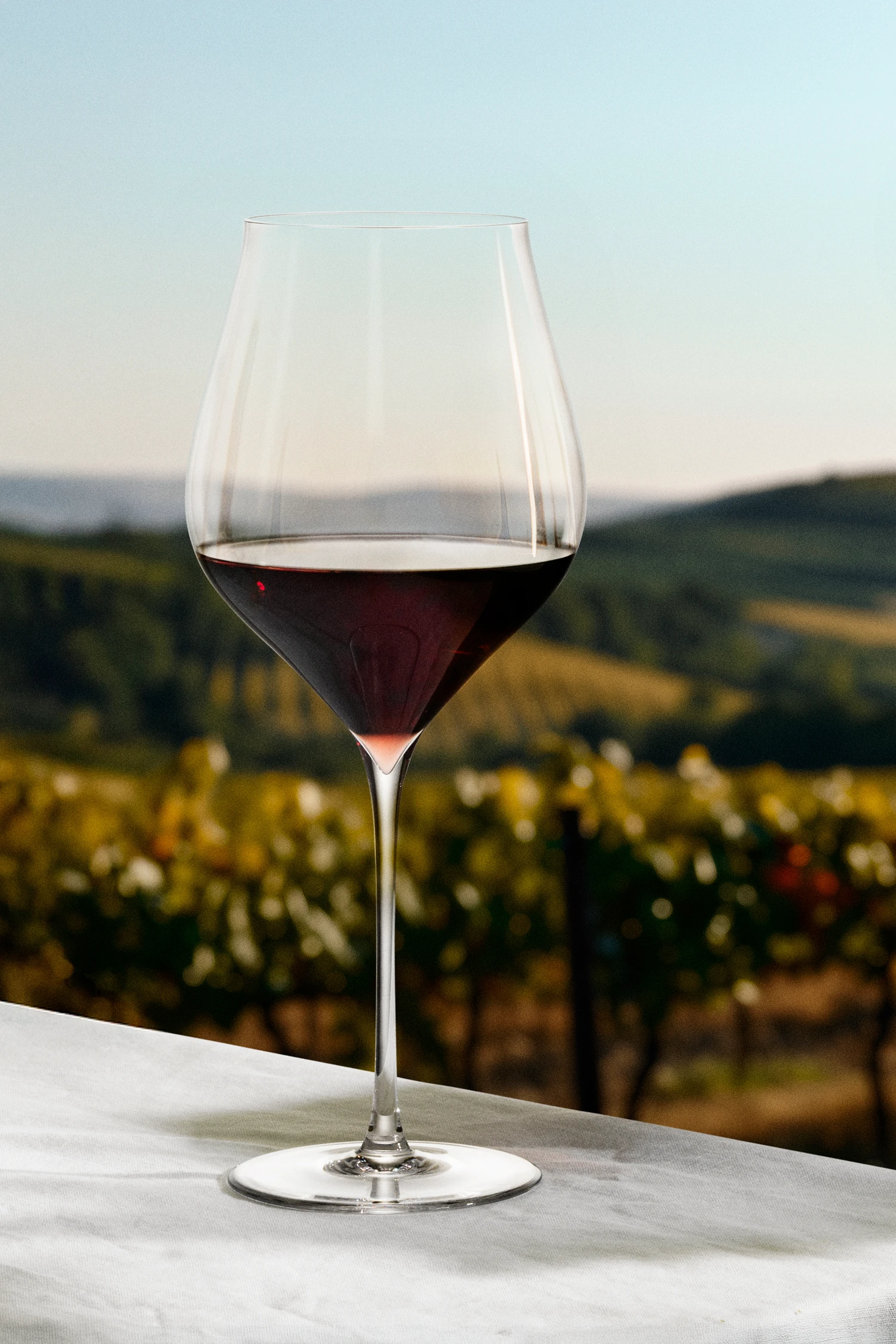 Red Wine Glass 81 cl 2 pcs. from Holmegaard in Clear color, made of Glass