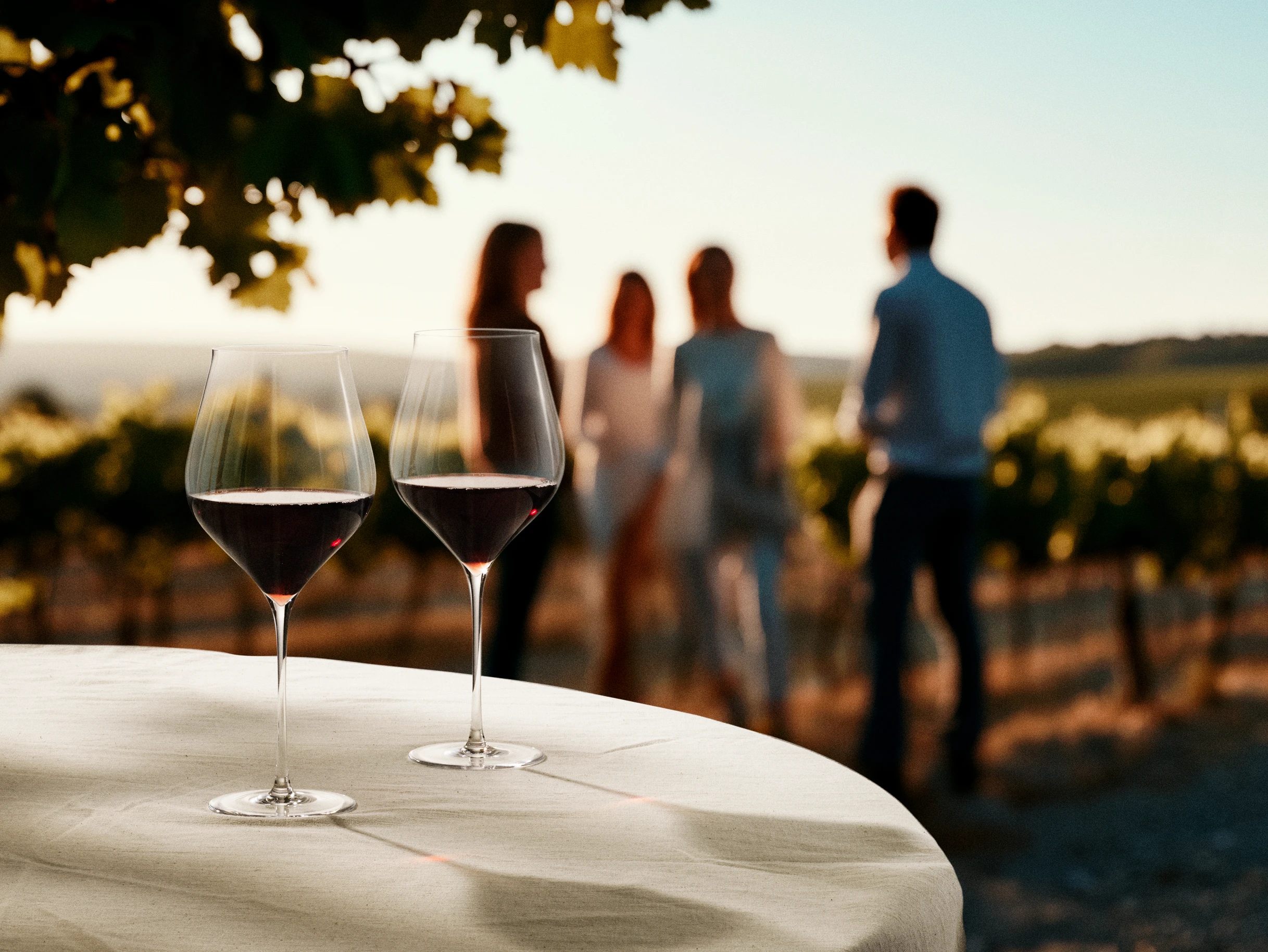 Red Wine Glass 81 cl 2 pcs. from Holmegaard in Clear color, made of Glass