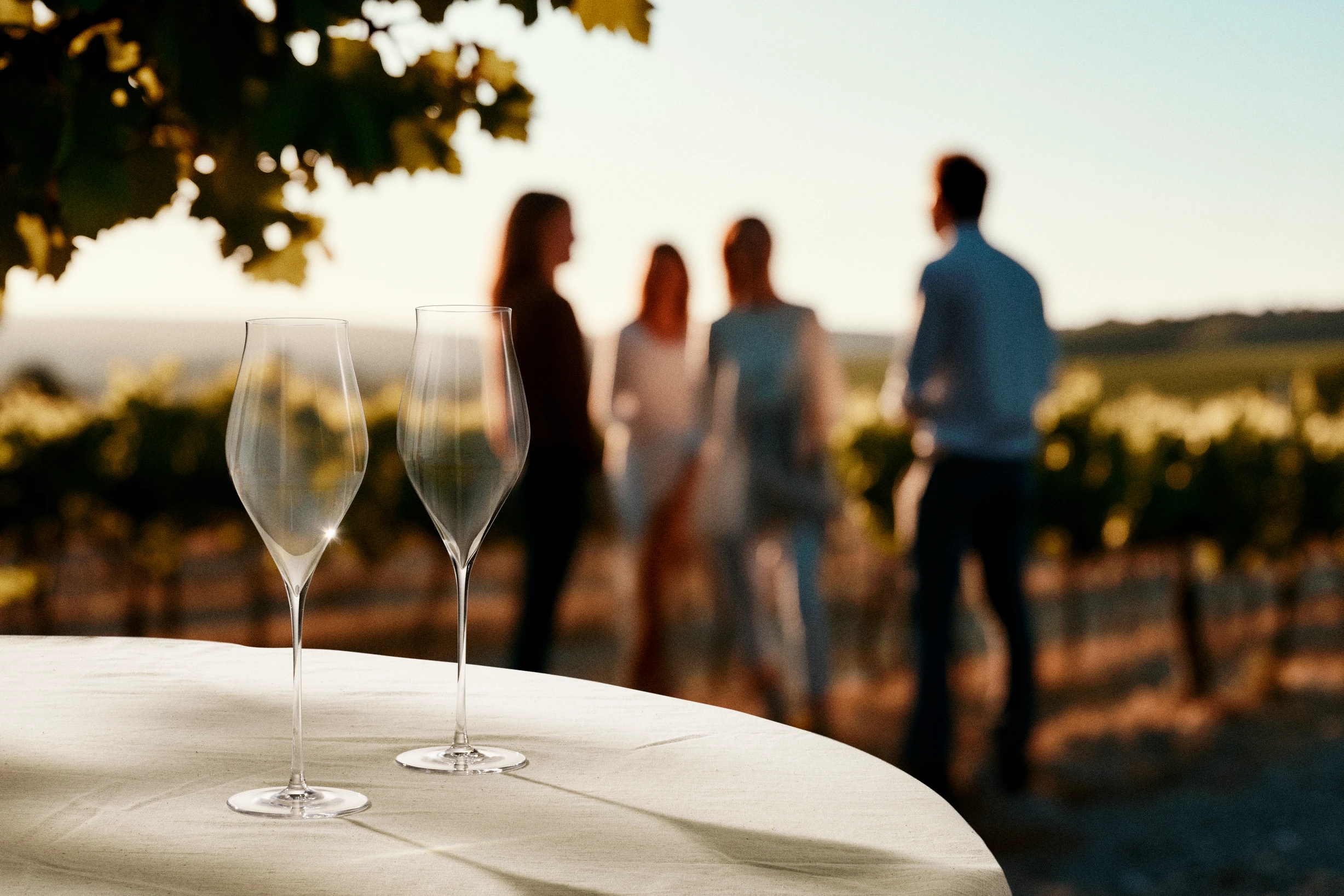 Champagneglas 38 cl 2 stk. fra Holmegaard i farven Klar, lavet af Glas