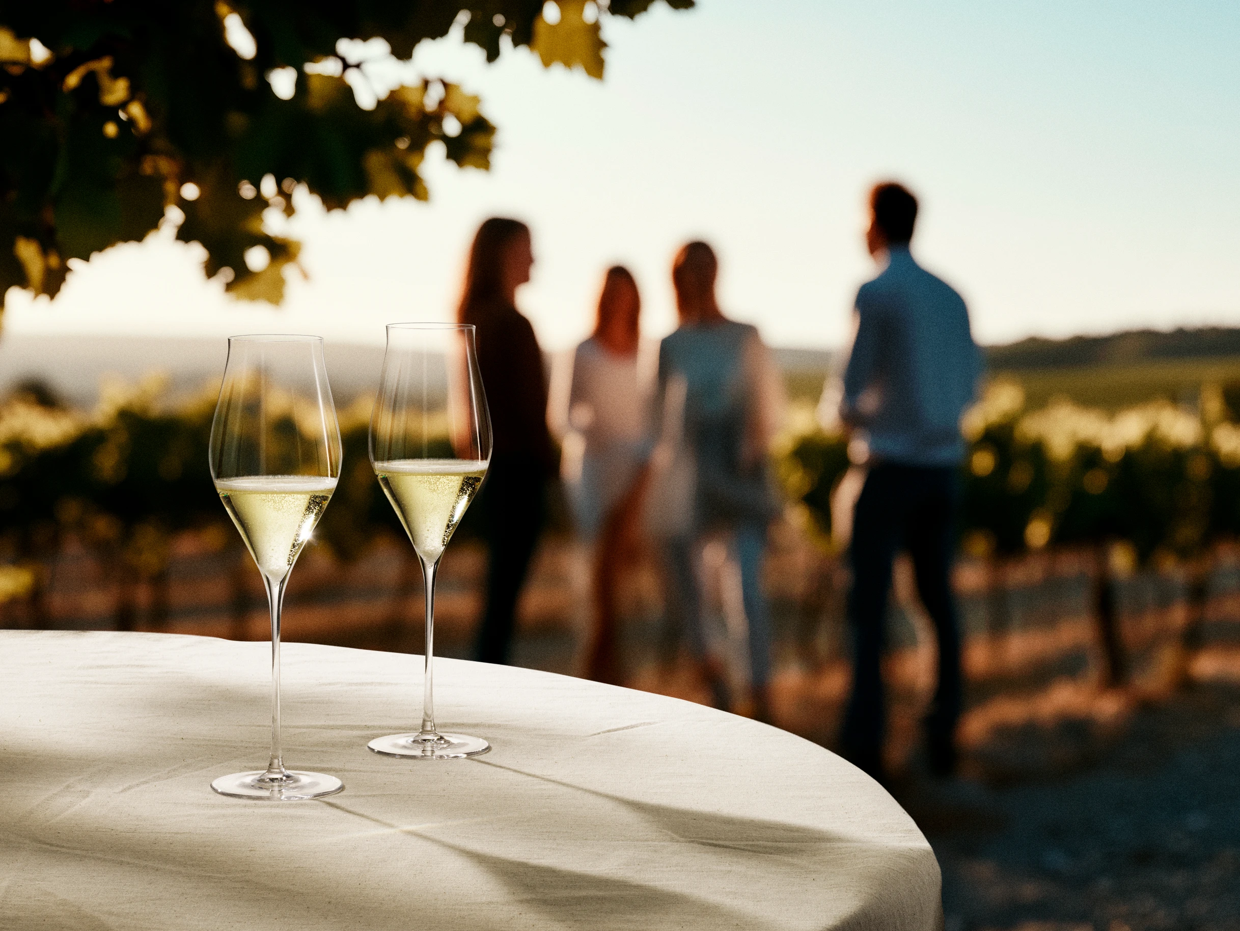 Champagneglas 38 cl 2 stk. fra Holmegaard i farven Klar, lavet af Glas