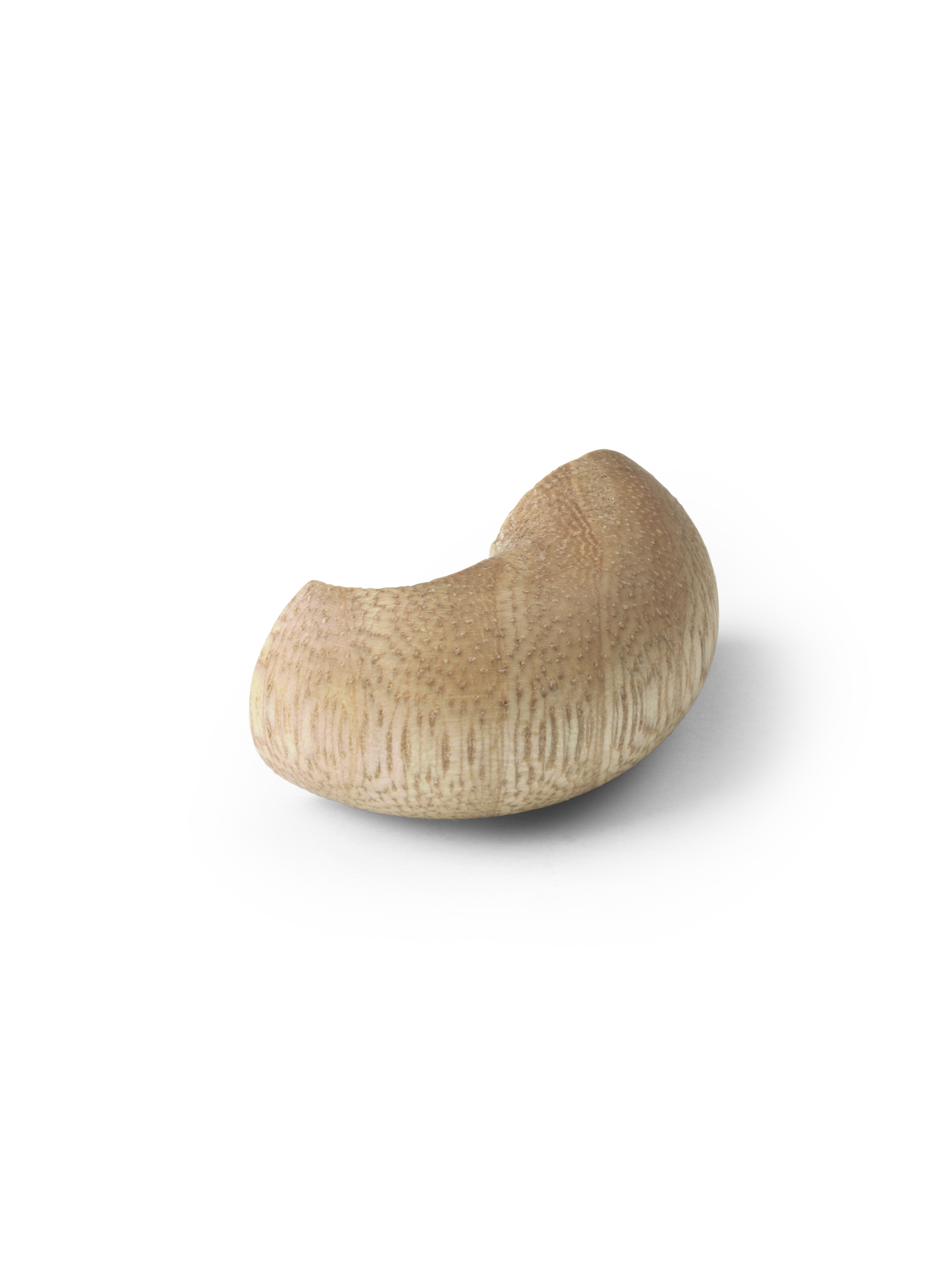 Abe lille pote uden logo (39250)