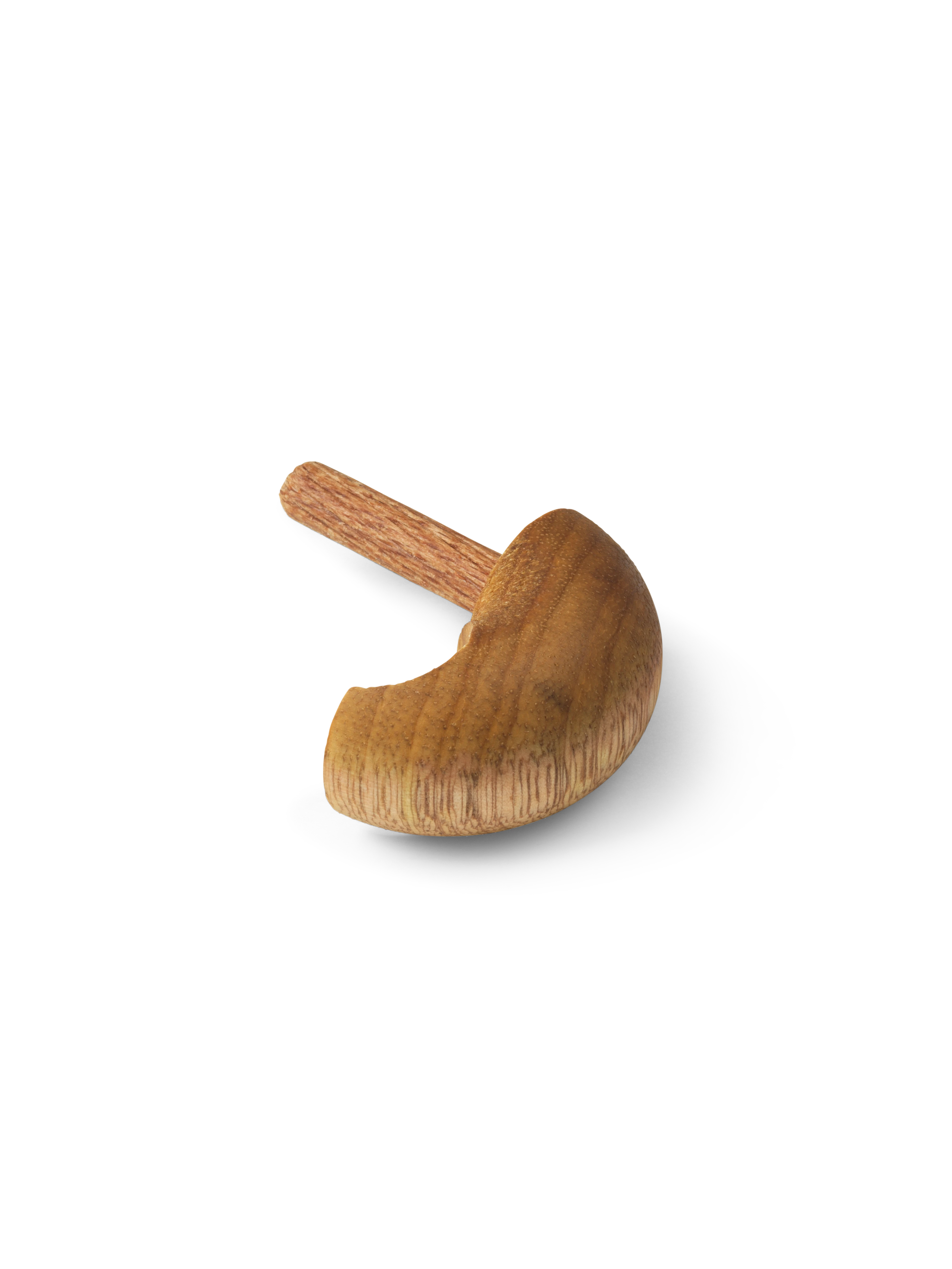 Monkey medium paw w/o logo (39253)