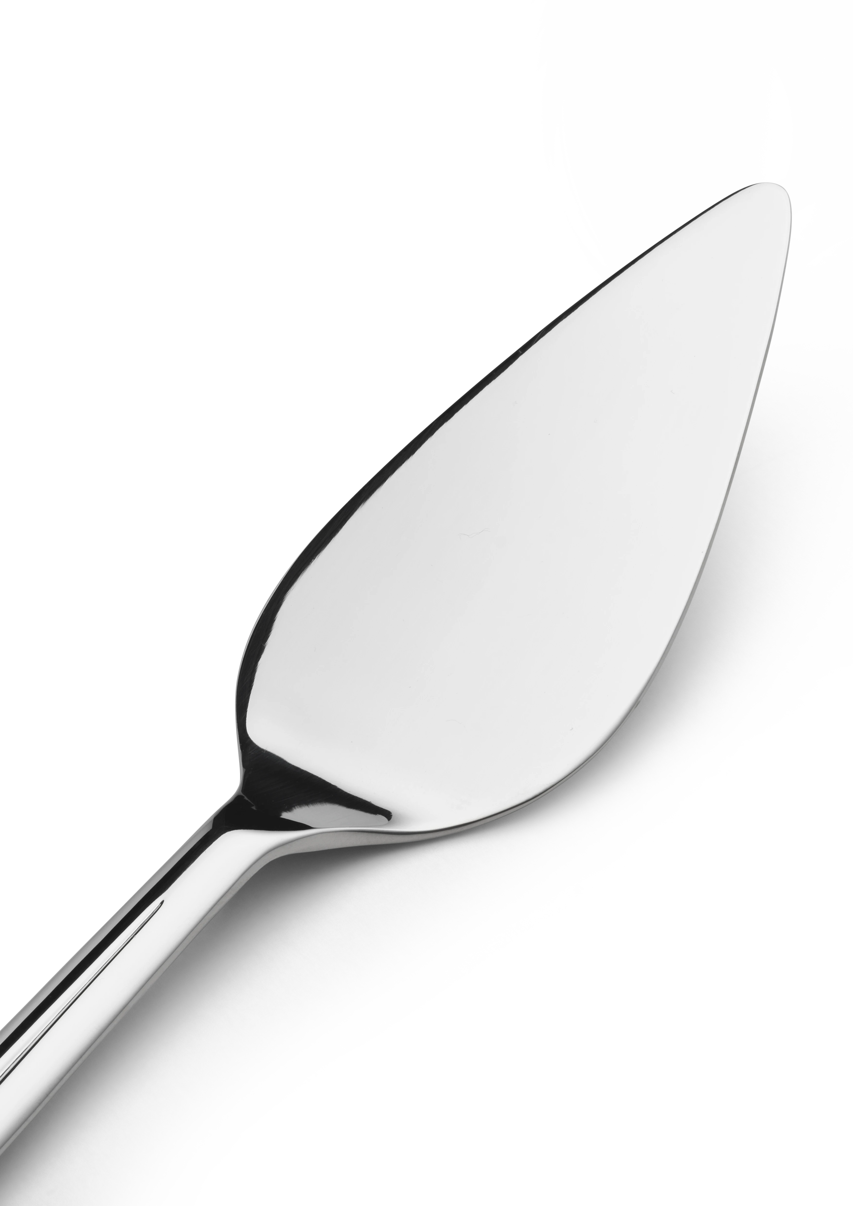 Cake slicer from Rosendahl in Steel color, made of Metal