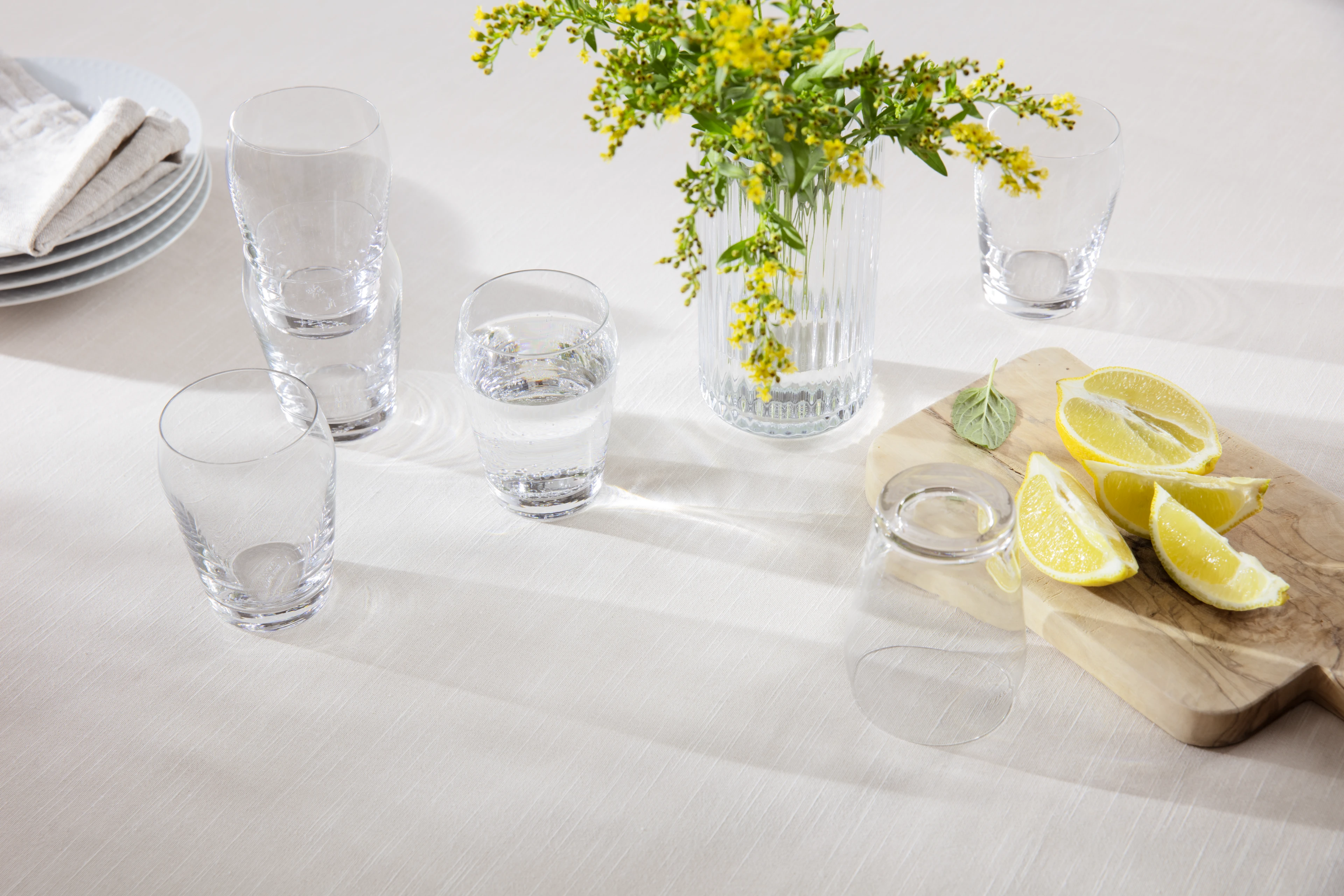 Tumbler 23 cl 6 pcs. from Holmegaard in Clear color, made of Glass