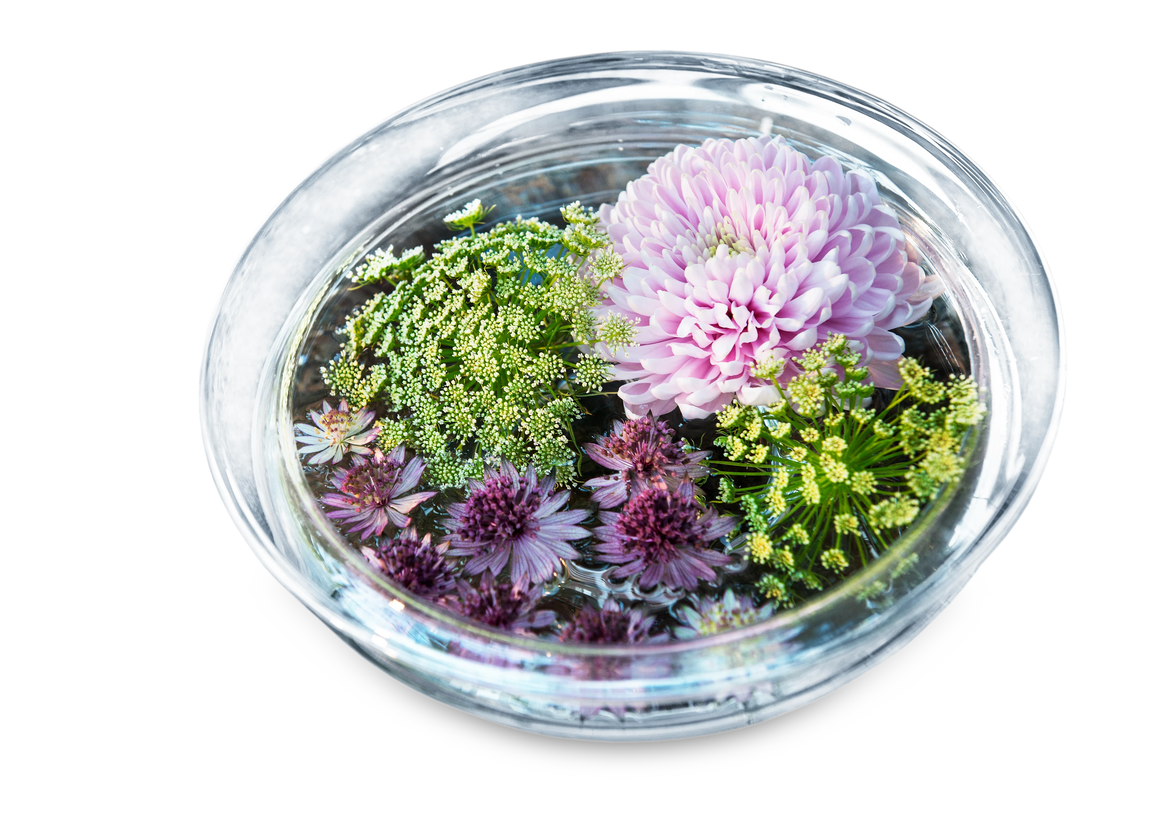 Blomsterskål Ø25 cm från Holmegaard i färgen Klar, tillverkad av Glas