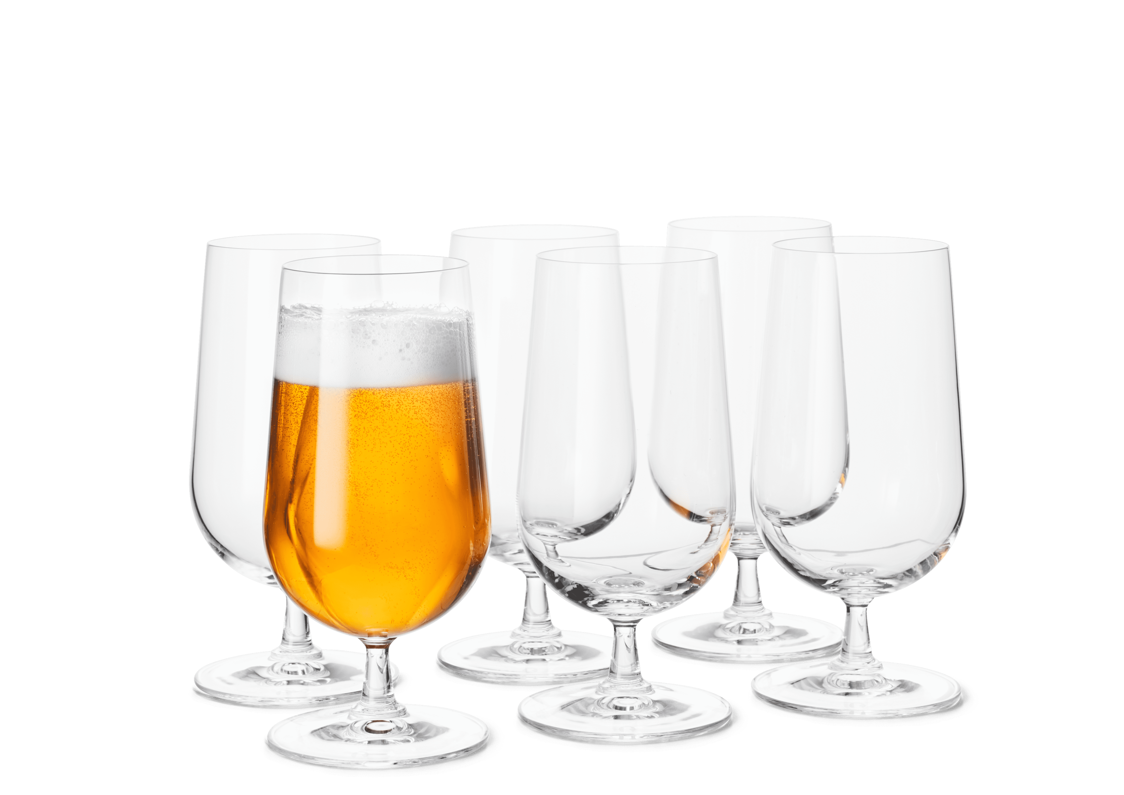 Beer Glass 50 cl 6 pcs.