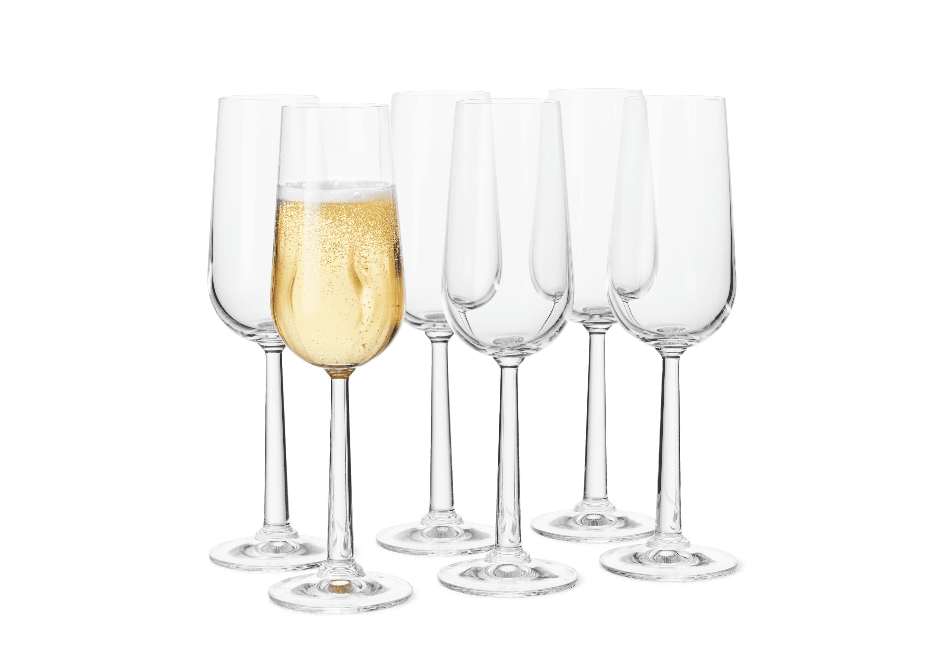Champagnerglas 24 cl 6 Stck.