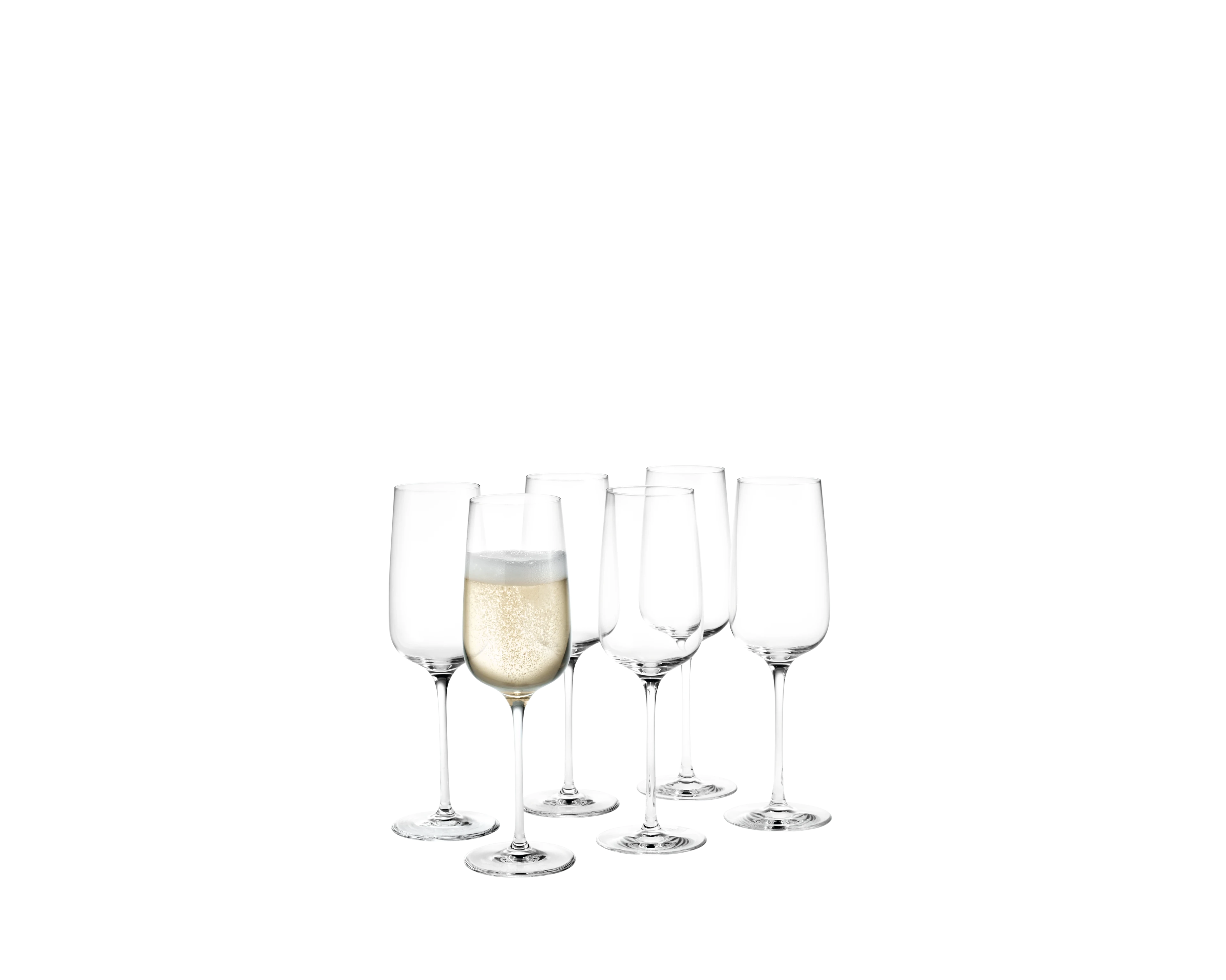 Champagne Glass 29 cl 6 pcs. from Holmegaard in Clear color, made of Glass