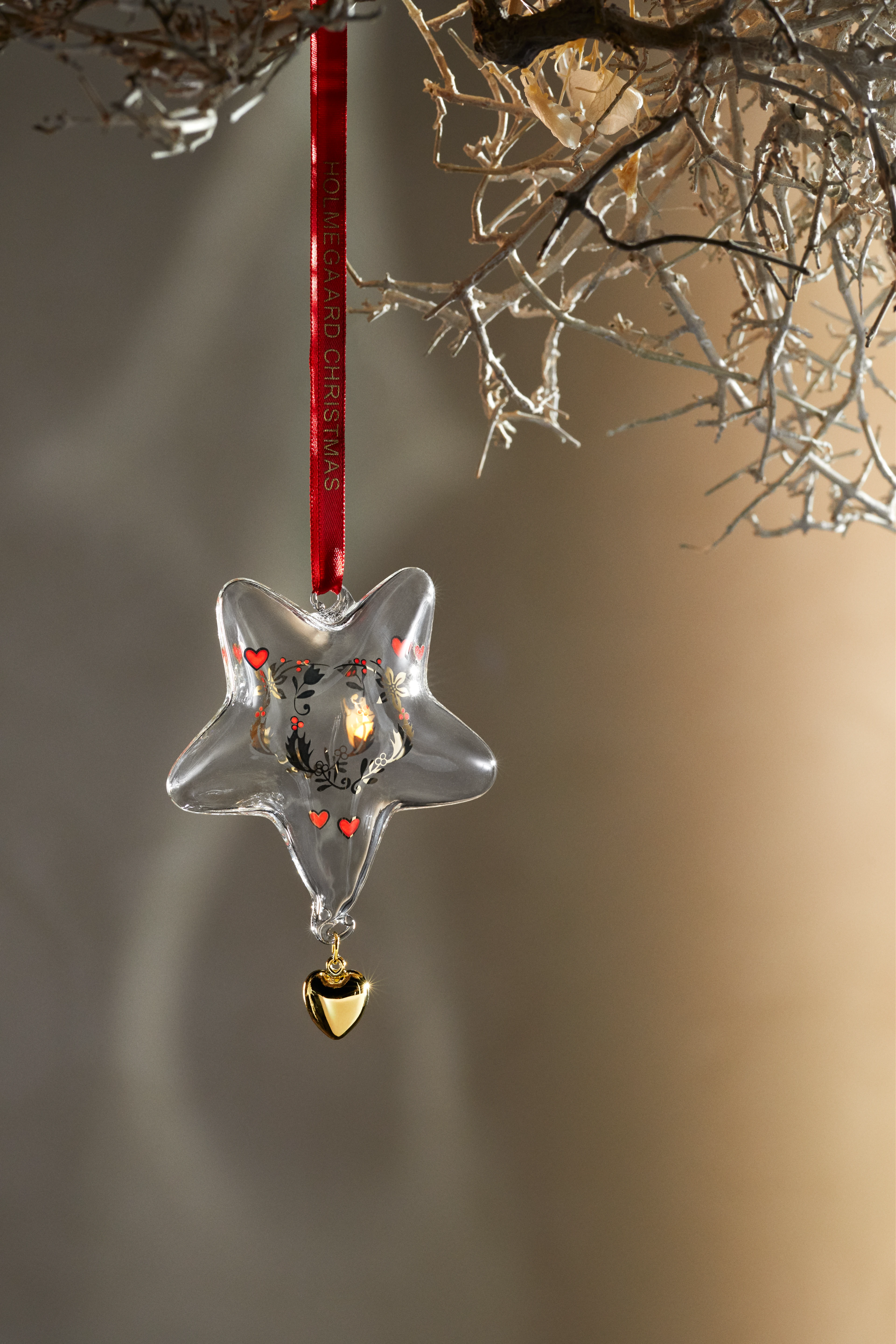 Annual Christmas Star 2023 small from Holmegaard in Clear color, made of Glass