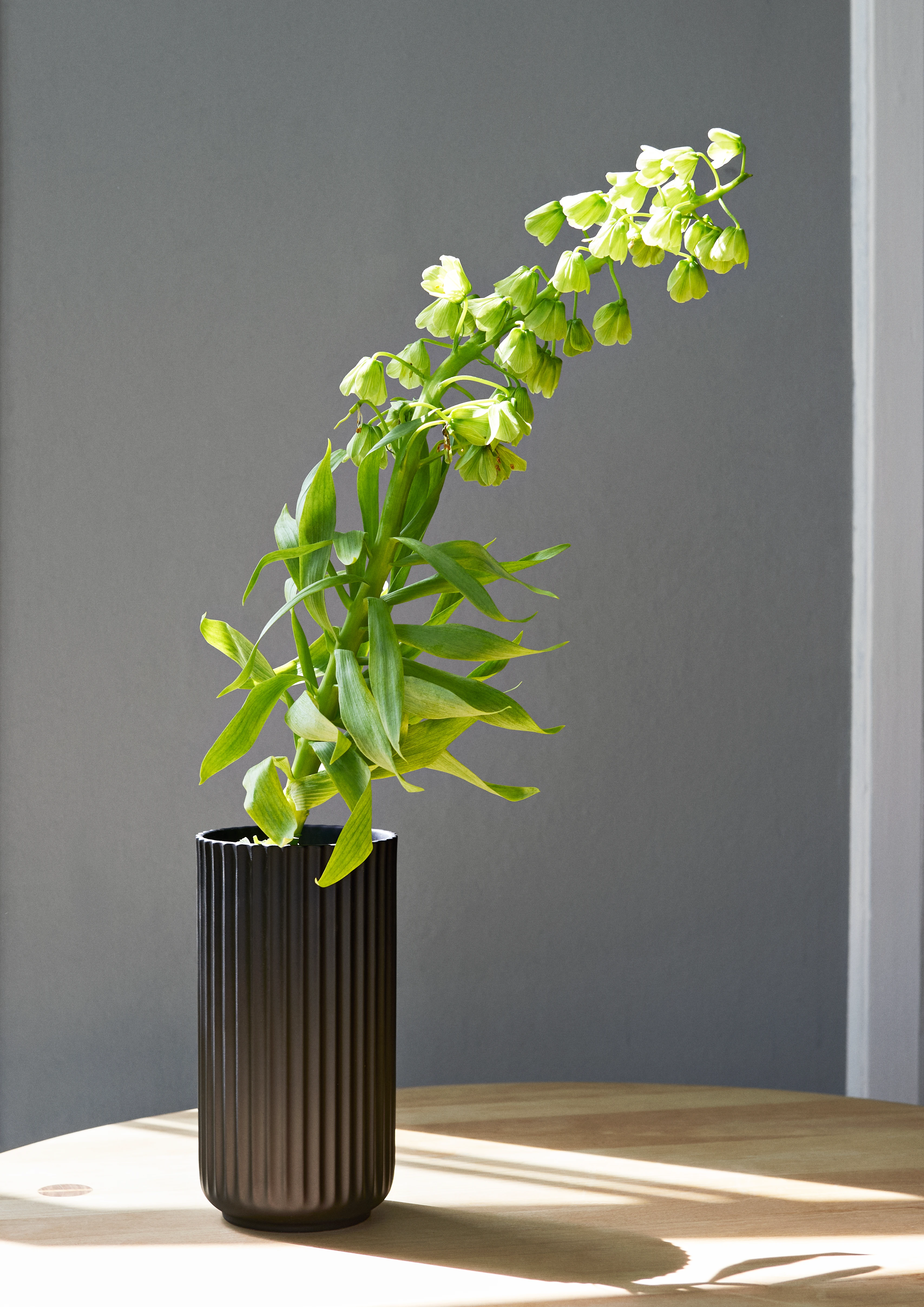 Vase H15.5 cm from Lyngby Porcelæn in Black color, made of Ceramics