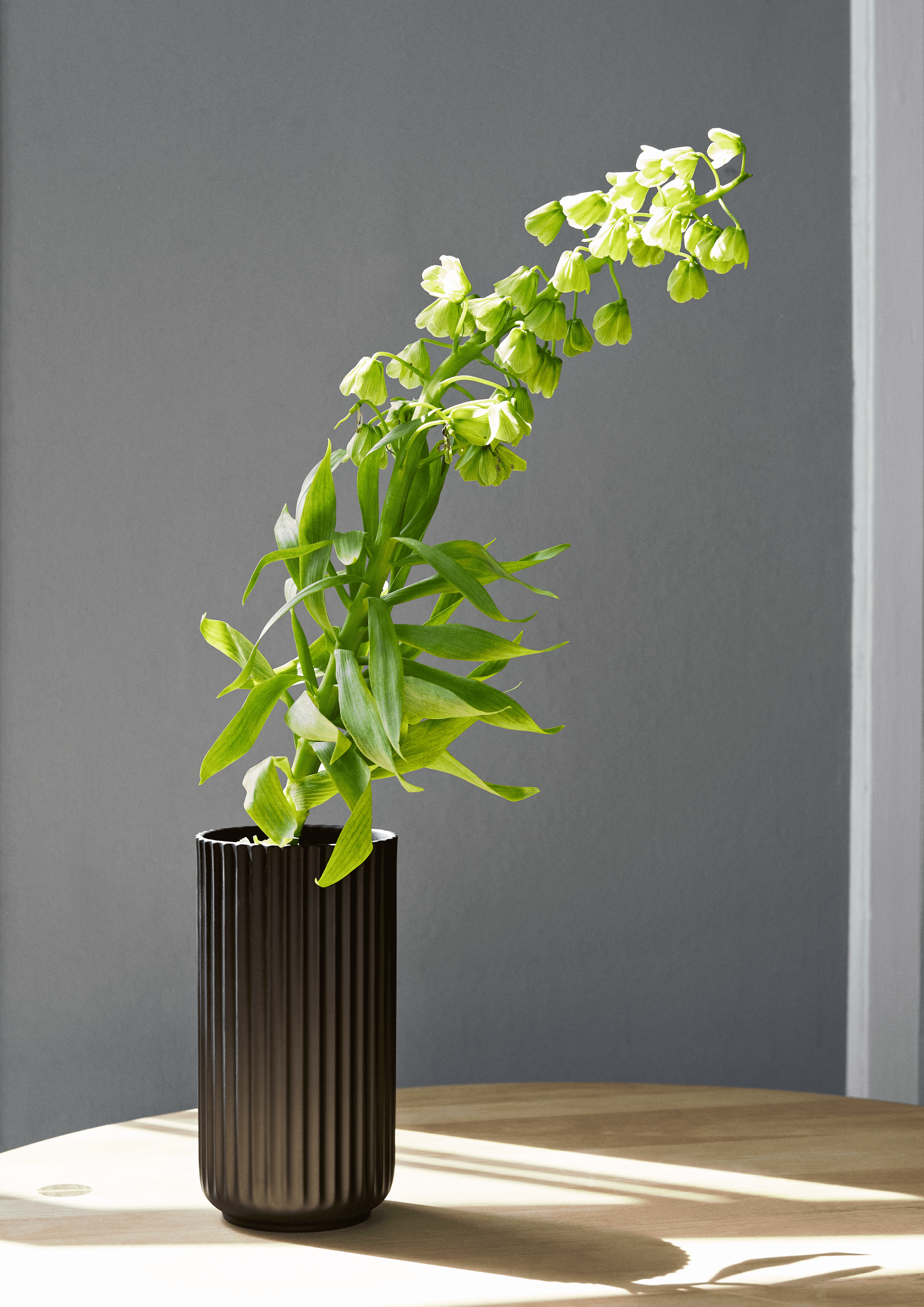Vase H15.5 cm