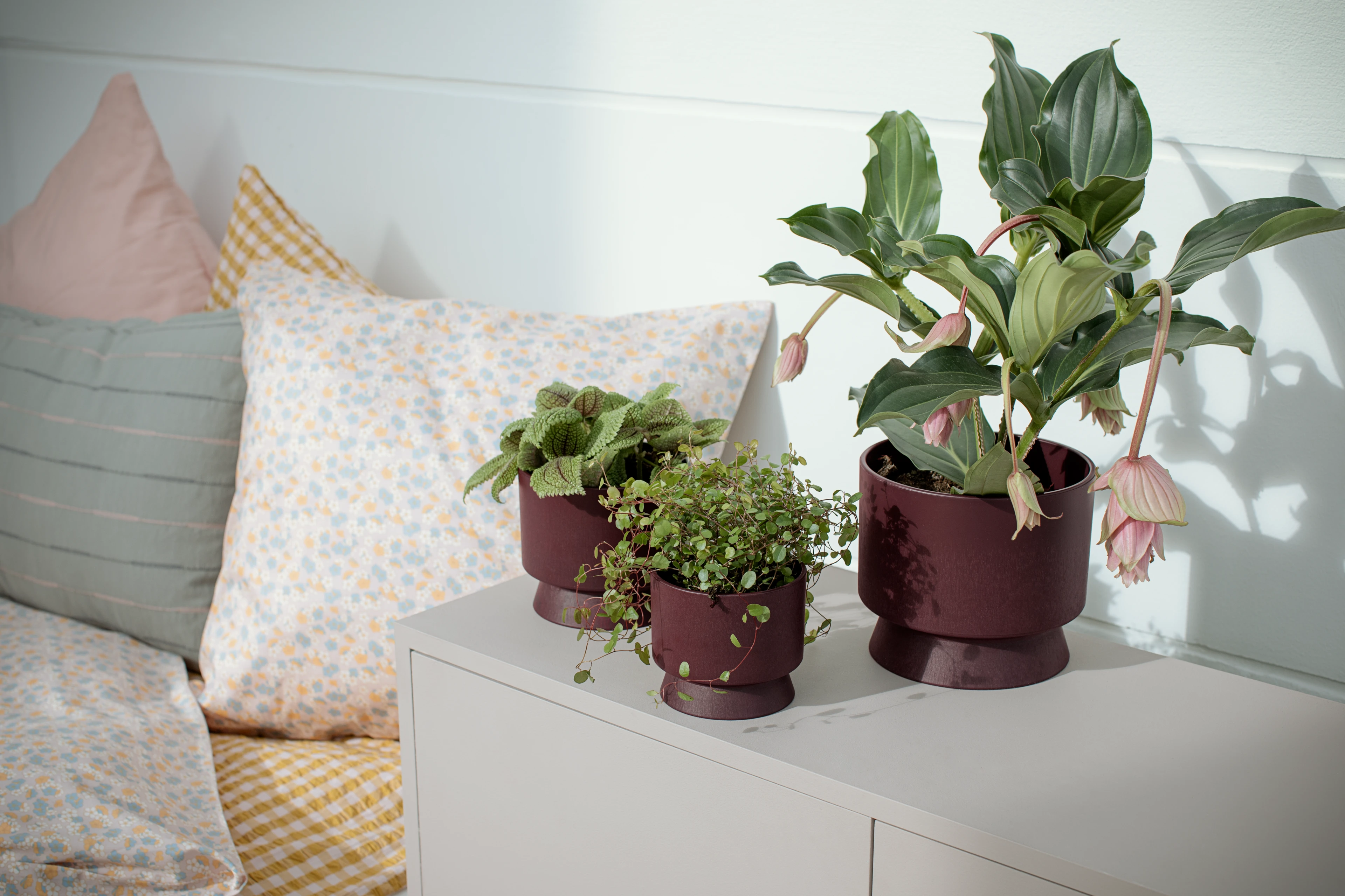 Flowerpot Ø12 cm from Rosendahl in Burgundy color, made of Plastic