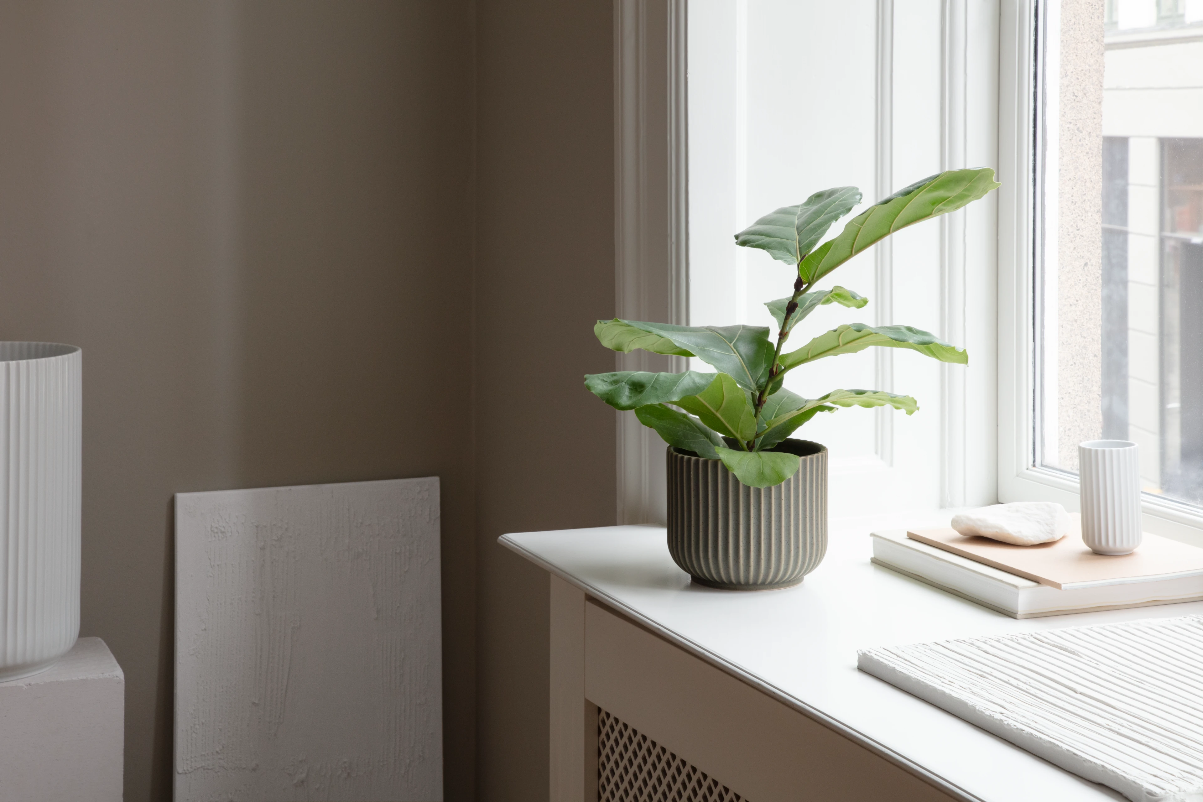 Übertopf mittel von Lyngby Porcelæn in der Farbe Olivgrün, hergestellt aus Keramik